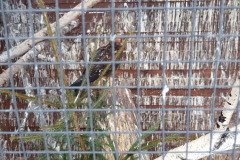 IMG_20260130_110232