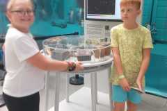 IMG-20240919-WA0010